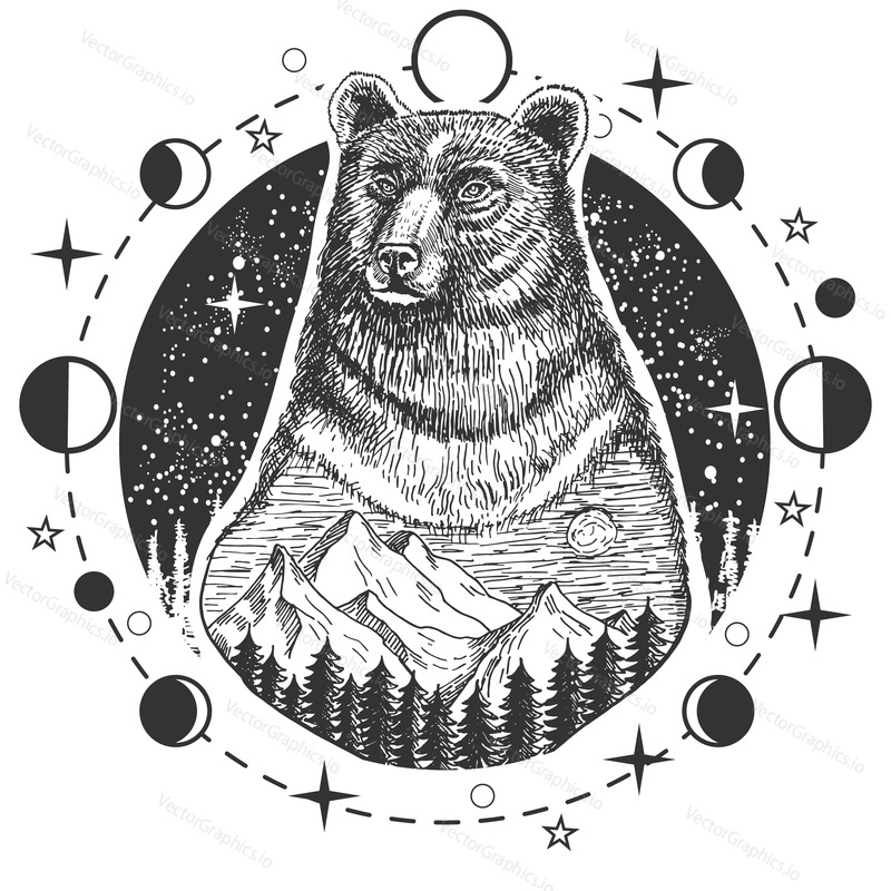 Vector animal tattoo or t-shirt print design. Bear head combined with nature in round frame with moon phases.