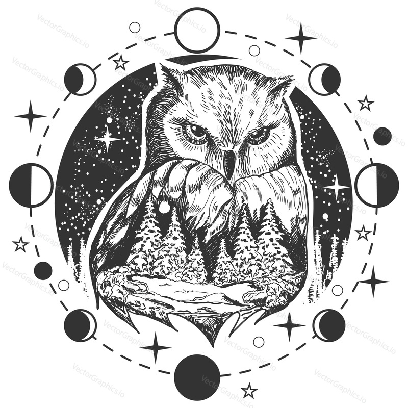 Vector bird tattoo or t-shirt print design. Owl head combined with nature in round frame with moon phases.