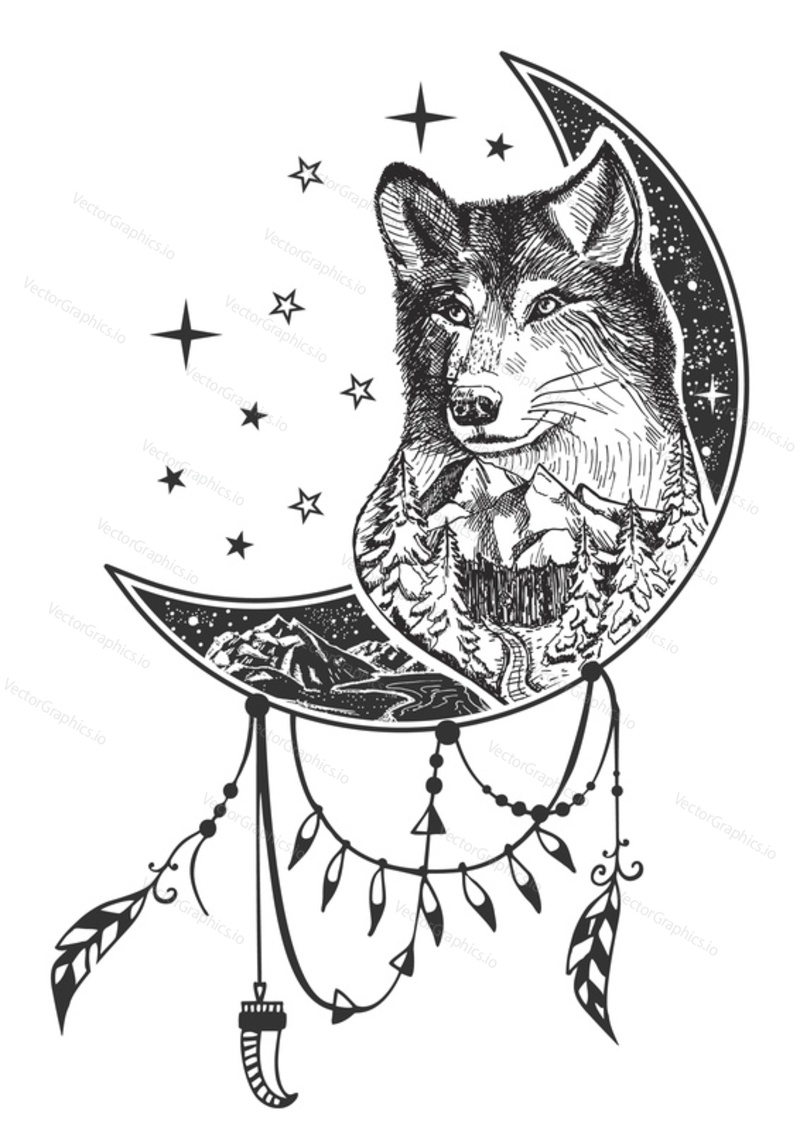 Vector boho wolf tattoo or t-shirt print design. Wolf head on crescent moon combined with nature and boho elements.