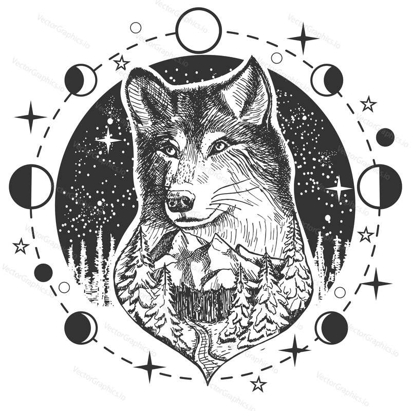 Vector animal tattoo or t-shirt print design. Wolf head combined with nature in round frame with moon phases.