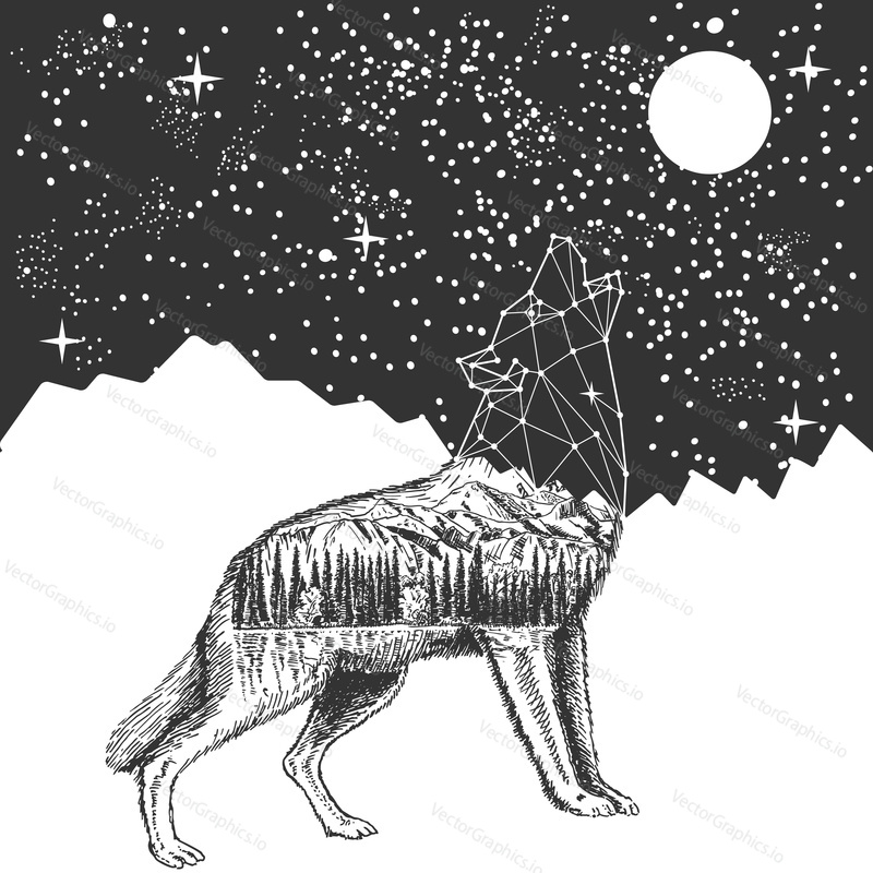 Vector animal tattoo or t-shirt print design. Howling wolf with polygonal head and nature combined with moonlit night sky.