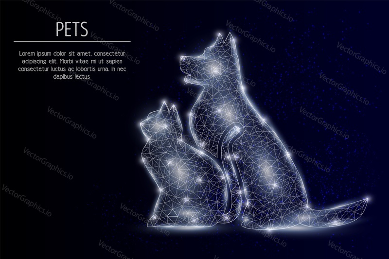 Vector polygonal art style dog and cat. Pet animals low poly wireframe mesh with scattered particles and light effects on dark blue background. Poster banner design template with copy space.