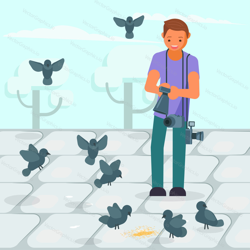 Young man photographer taking picture of pigeons pecking at grain on pavement. Vector illustration in flat style. Photography hobby concept design element.