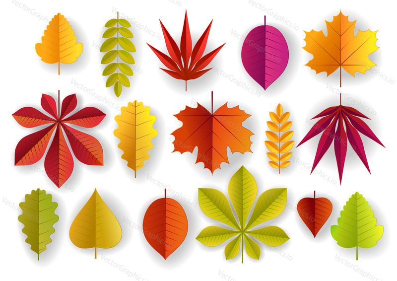 Paper cut autumn leaves. Vector illustration of beautiful multicolor maple, oak, rowan, birch and other leaves isolated on white background.