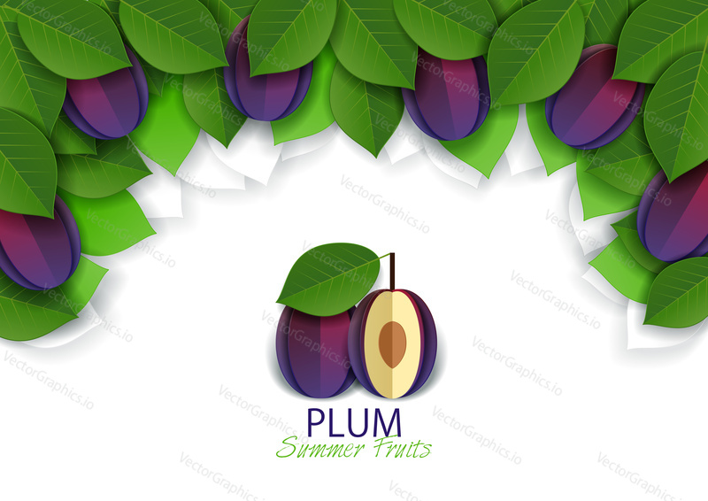Ripe fresh plum fruit background, frame. Vector paper art illustration. Packaging label design template.