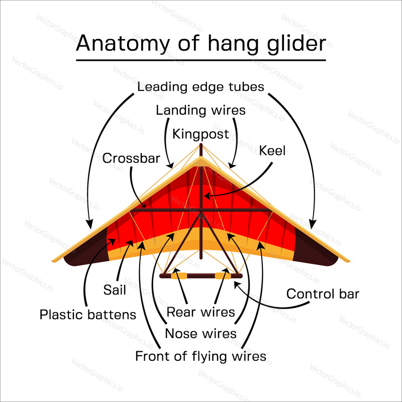 Hang glider anatomy, chart explaining detailed structure of hang-glider unpowered aircraft. Vector flat style design illustration.