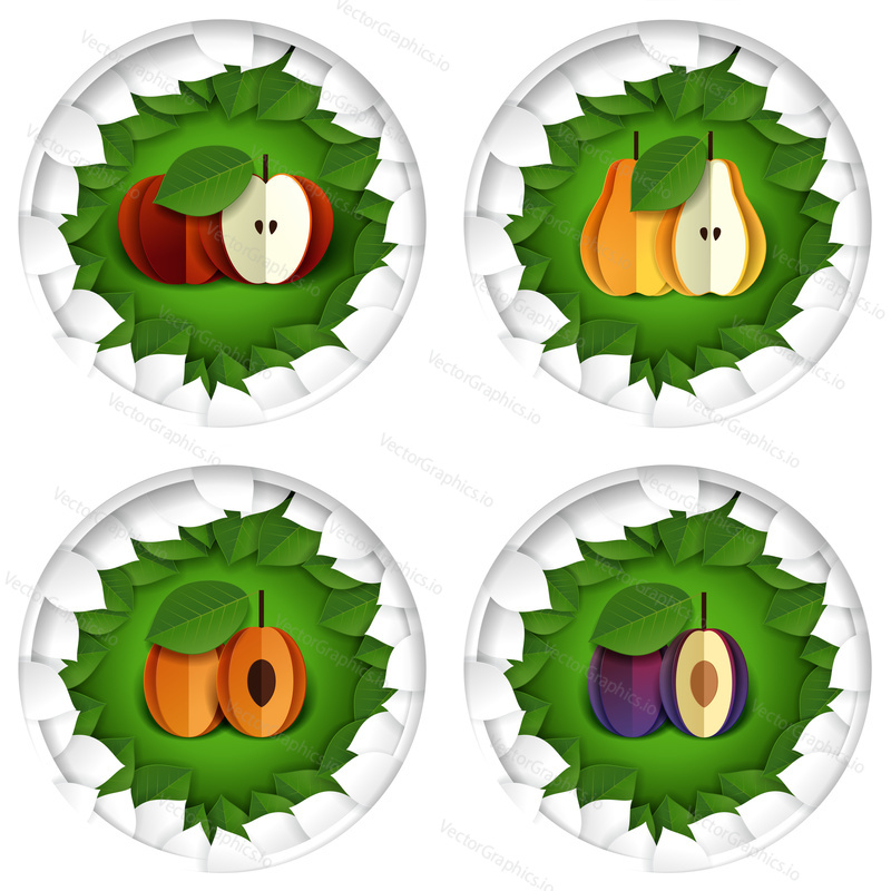 Ripe fresh red apple, yellow pear, apricot and plum fruits in circle frames. Vector paper art illustration. Packaging label design templates.