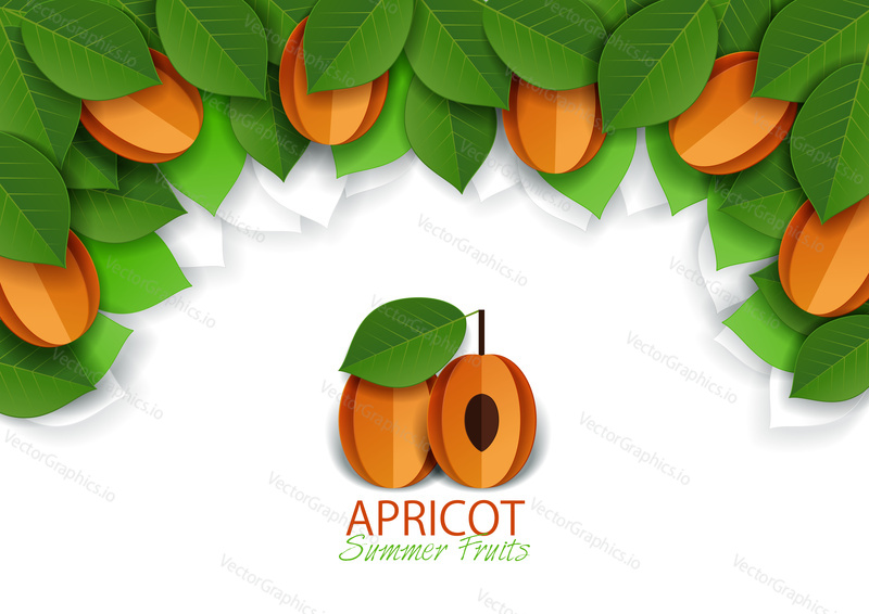 Ripe fresh apricot fruit background, frame. Vector paper art illustration. Packaging label design template.