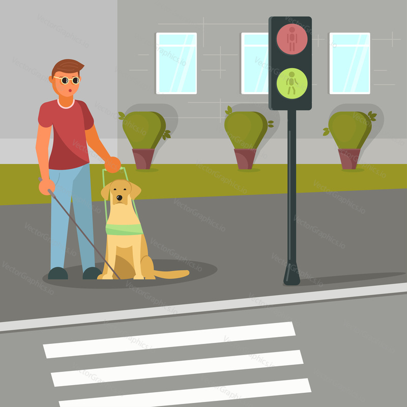 Vector illustration of disabled blind man with stick and guide dog waiting for green traffic light to cross street. Flat style design.