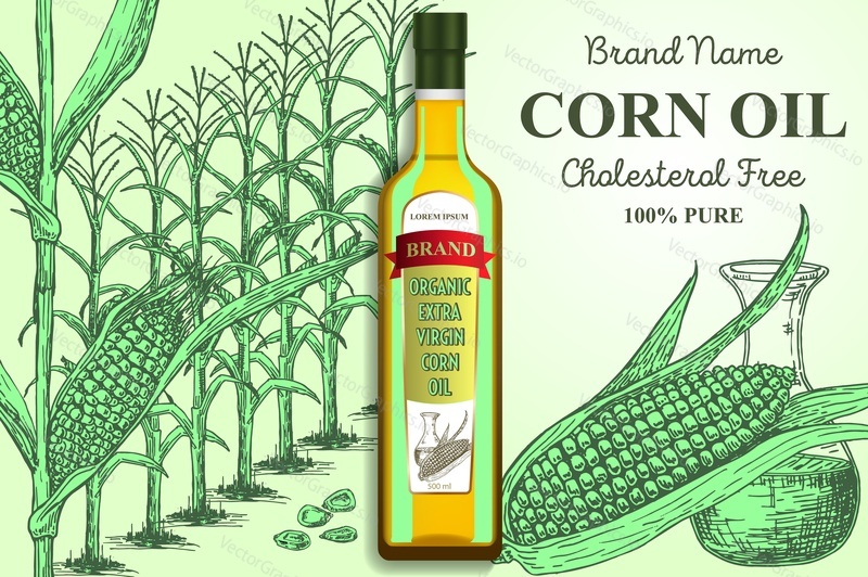 Corn oil brand ads poster banner template. Vector realistic corn oil glass bottle packaging mockup with vintage hand drawn corn plants, corn cobs, glass pitcher of cooking oil and copy space.