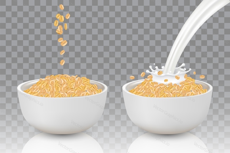 Two bowls of oat flakes and big splash of pouring milk. Two steps of cooking healthy oatmeal. Vector realistic illustration isolated on transparent background.