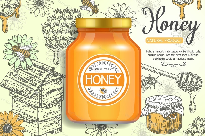 Natural sweet product honey ads. Vector realistic illustration of honey jar glass bottle packaging mockup and ink hand drawn honey items honeycombs, hive, bee, wooden stick, flower, honey jar.
