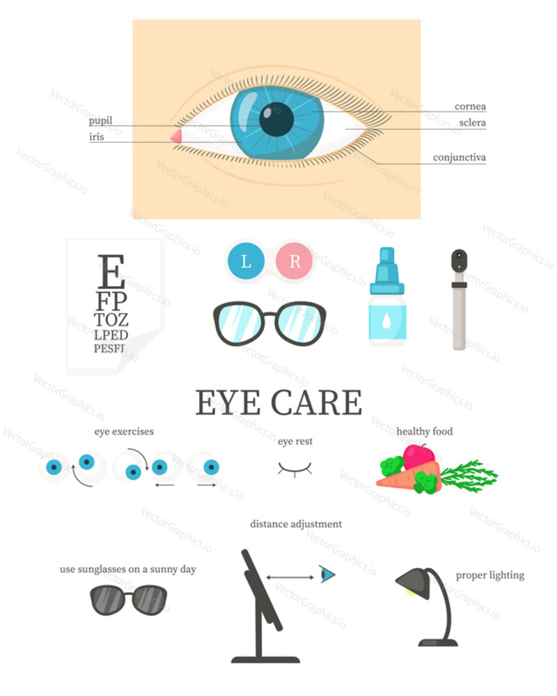 Human eye diagram, ophthalmic eye care infographic, vector flat isolated illustration. Ophthalmologist tools, contact lenses, eyeglasses, food for healthy vision, training exercises, proper lightening