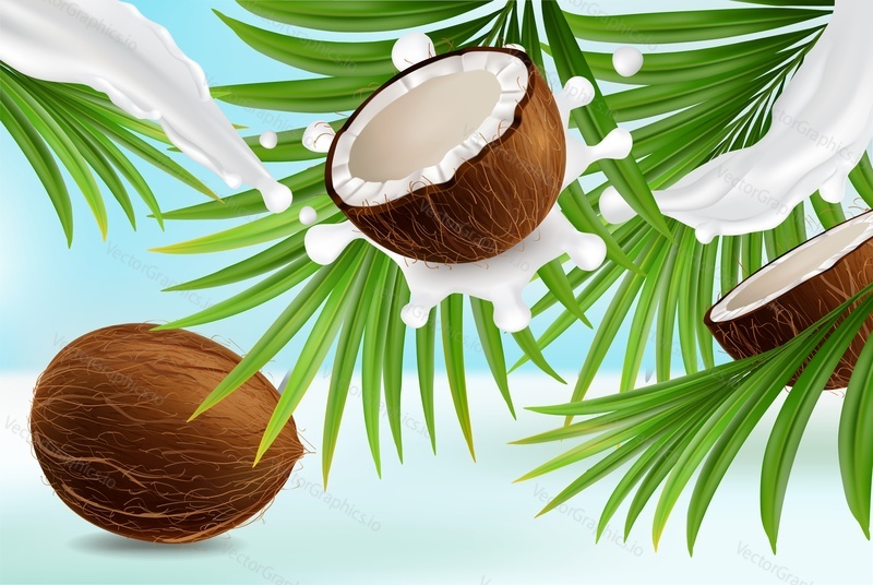 Coconut poster design template. Vector realistic fresh coconut whole and half, palm leaves, coco milk splash and copy space. Tropical food, organic natural beauty product advertising.