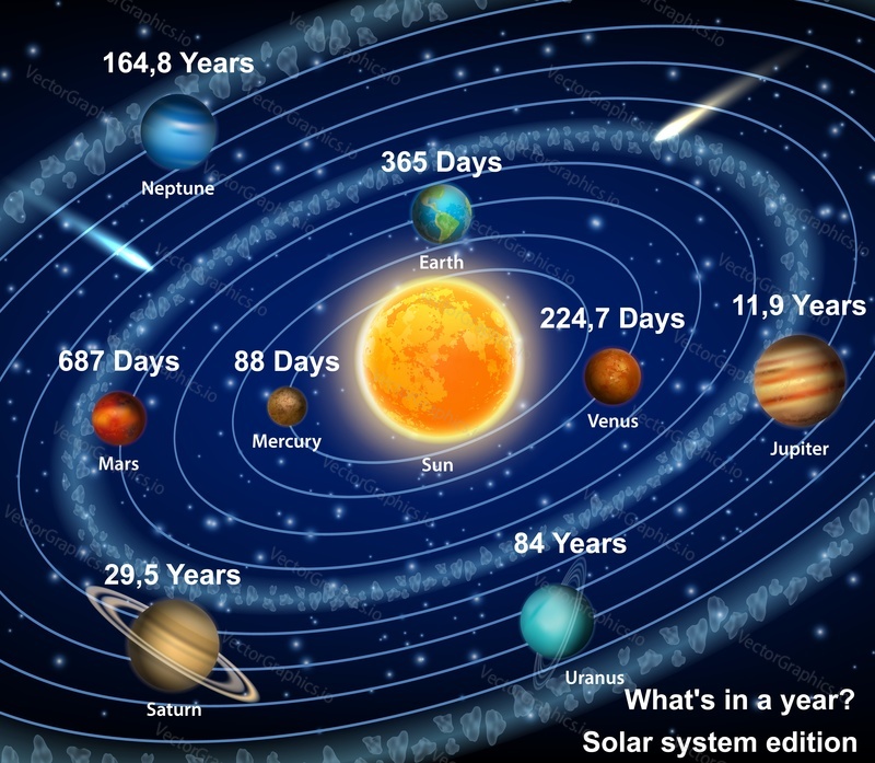 Eight solar system planets orbiting the sun diagram Vector educational poster, scientific infographic. Mercury Venus Earth Mars Jupiter Saturn Uranus Neptune with orbital period information indication