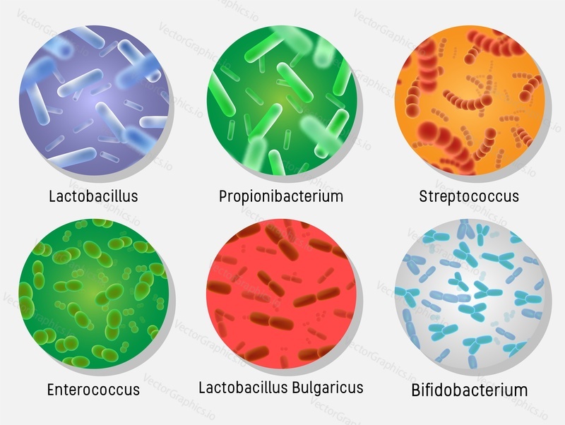 Bacterial flora in circle set, vector isolated illustration. Lactobacillus, propionibacterium, streptococcus, enterococcus, lactobacillus bulgaricus, bifidobacterium normal bacterial flora of humans.
