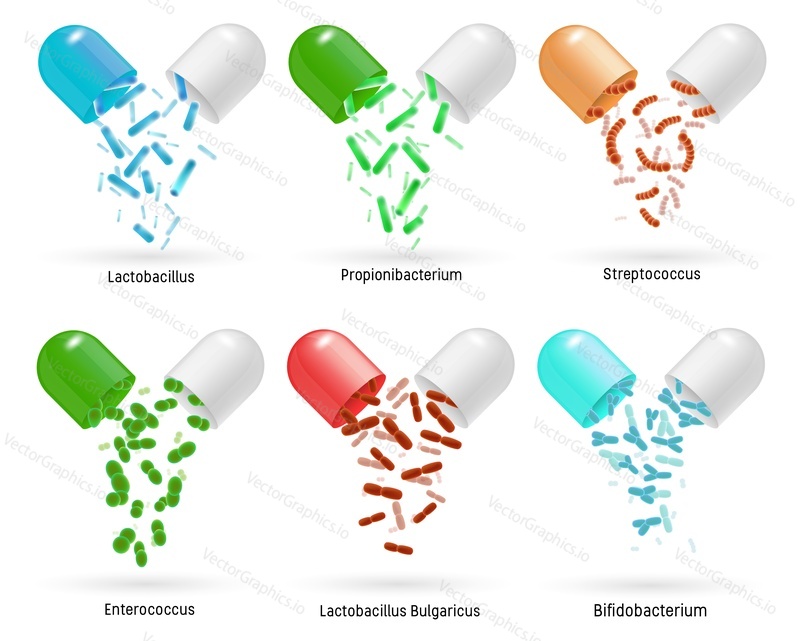 Probiotics pills set vector isolated illustration. Lactobacillus, propionibacterium, streptococcus, enterococcus, lactobacillus, bifidobacterium friendly probiotic bacteria in color realistic capsules