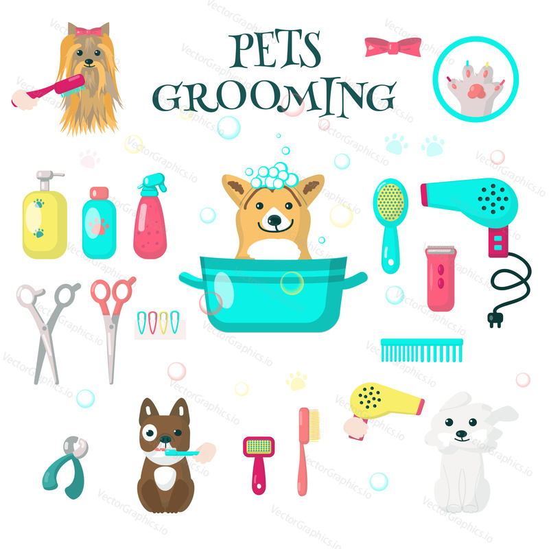 Pets grooming set, vector flat illustration isolated on white background. Cute dogs taking bath, getting hairstyle. Dog baths, haircuts, nail trimming tools and accessories for card, web banner etc.