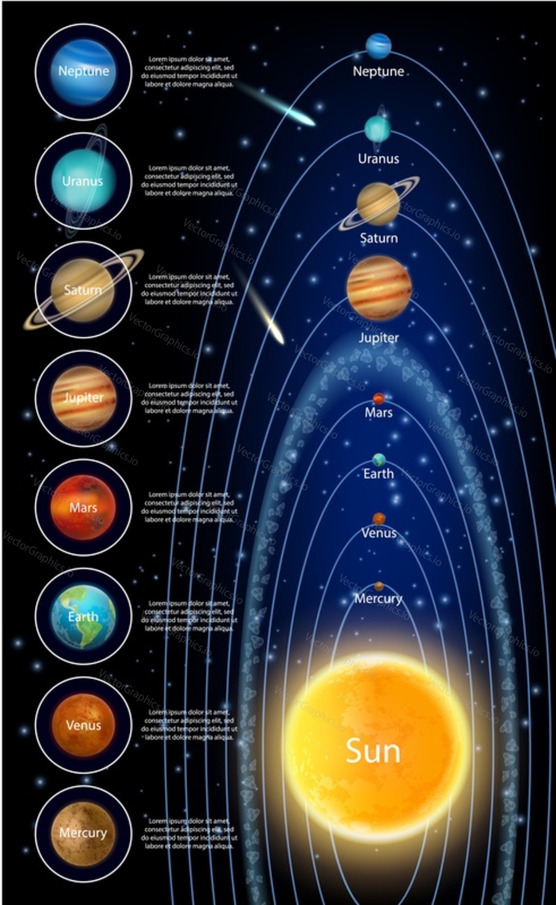 The sun and eight solar system planets orbiting it diagram, vector education infographic. Mercury Venus Earth Mars Jupiter Saturn Uranus Neptune with names.
