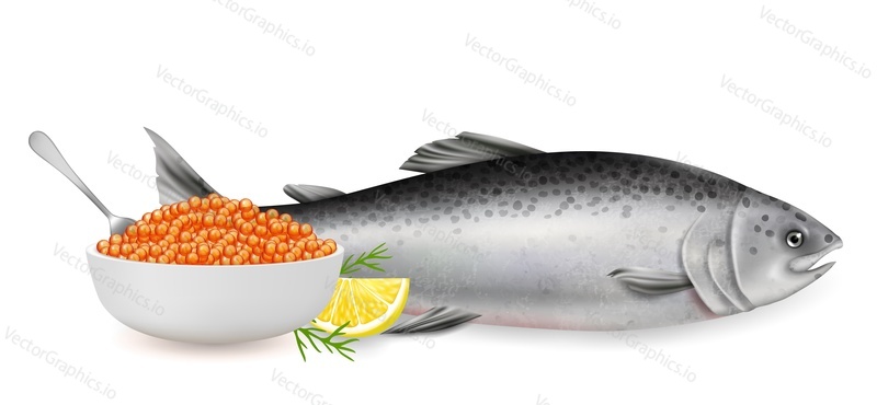 Red salmon fish caviar, vector illustration isolated on white background. Realistic healthy delicacy seafood product composition for menu, recipe, website page etc.