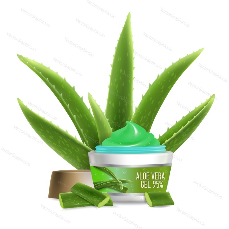 Natural fresh aloe vera and gel, vector illustration. Aloe vera gel, soothing and moisturising cosmetic and skincare products composition for poster, banner etc.