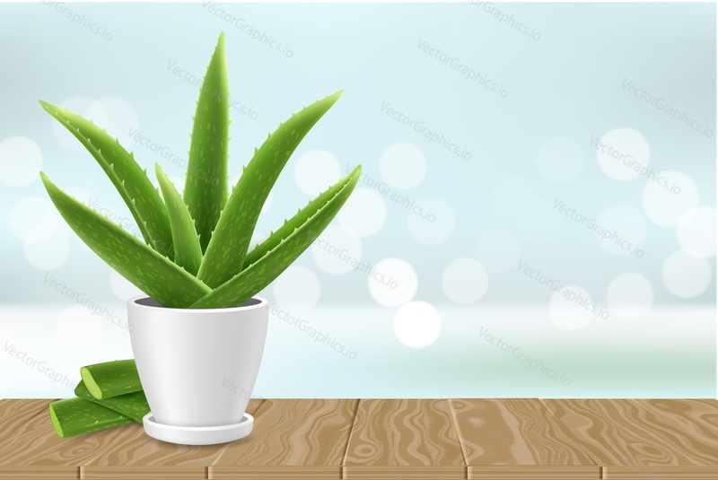 Realistic aloe vera medicinal plant in pot vector poster banner template. Potted aloe vera succulent plant and leaf cuttings on wooden surface, copy space.
