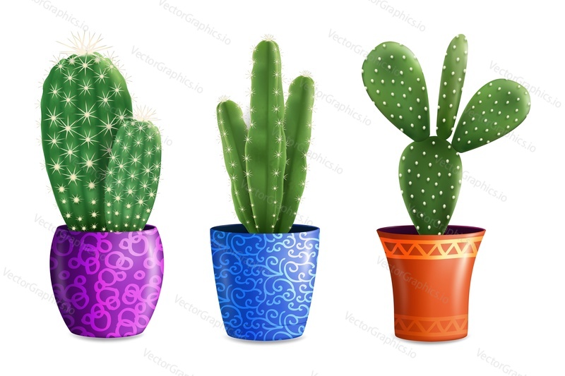 Realistic cactus plants in beautiful color pots, vector illustration isolated on white background. Decorative succulent houseplant cacti with thorns.