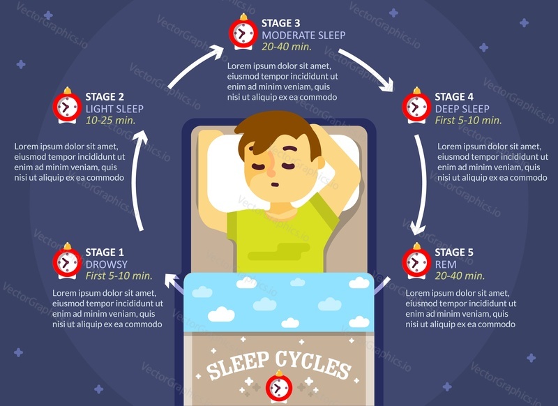 Sleep cycle infographics, vector flat style design illustration. Sleep phases or stages diagram, scheme, education poster template.