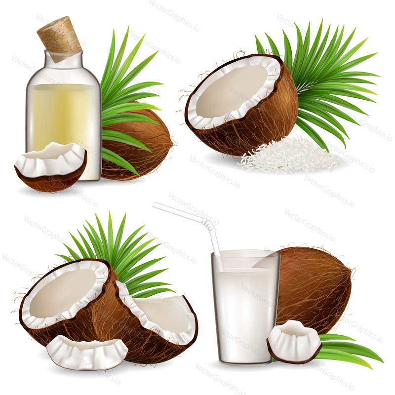 Coconut set, vector illustration isolated on white background. Realistic whole and half coco, coconut pieces, chips, glass of milk, oil bottle, green palm tree leaves. Organic natural dietary product.
