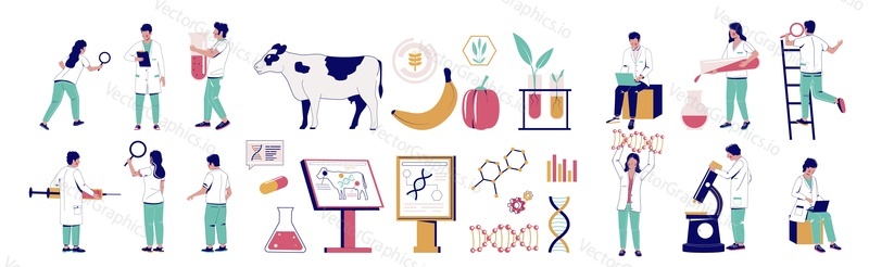 Genetic engineering character set, vector flat isolated illustration. Biotechnology lab technicians, scientists with equipment, genetically modified animals and food. Genetic modification technology.