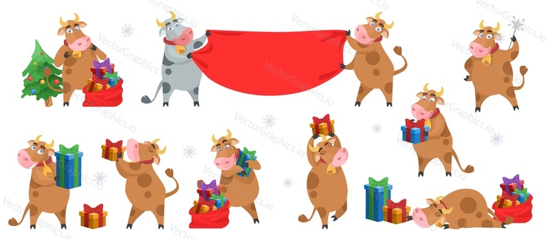 Chinese new year 2021 Ox zodiac cartoon character set, flat vector isolated illustration. Funny cute bulls or cows. Happy New Year. Ox horoscope sign for greeting card, poster, banner etc.