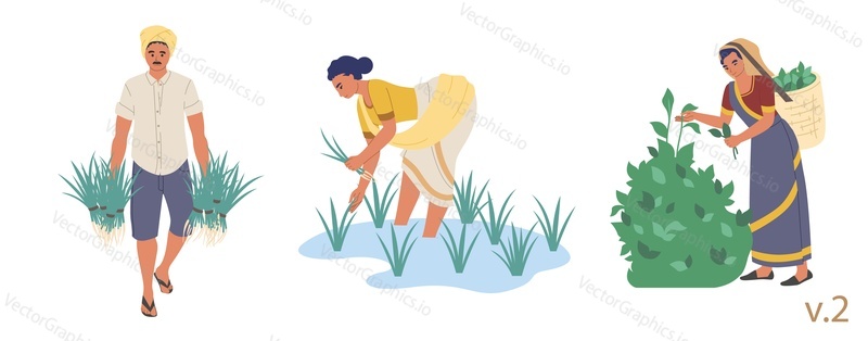 Indian farmer male and female character set, vector flat isolated illustration. People planting rice seedlings and picking tea leaves. Indian farming industry.