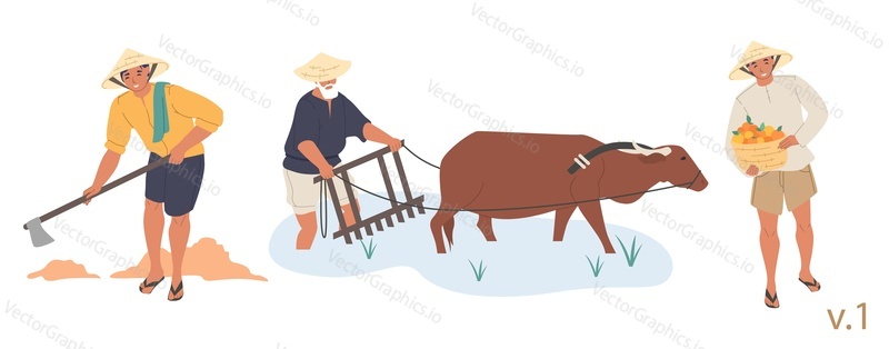 Asian farmer male character set, vector flat isolated illustration. People wearing conical hats digging soil, growing rice in paddy field and harvesting fruit. Asian agricultural industry.