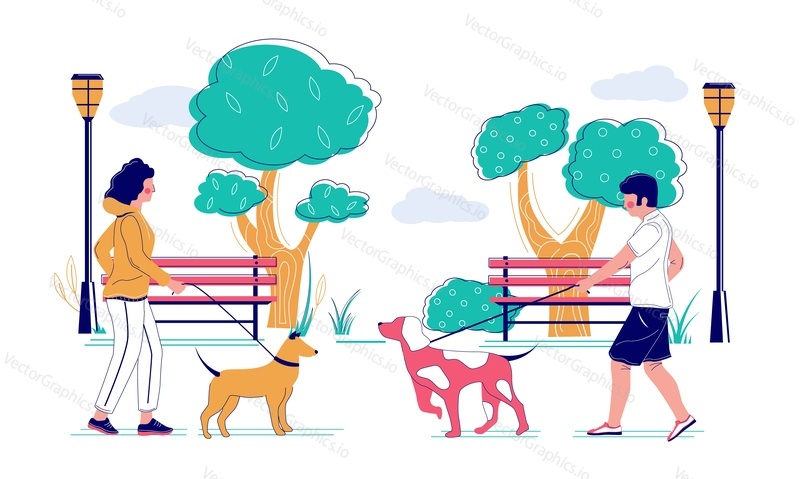 People walking their pet dogs in the park, vector flat illustration. Pet owners male and female characters taking their puppies for morning walk. Dog walking, caring for animals concept.