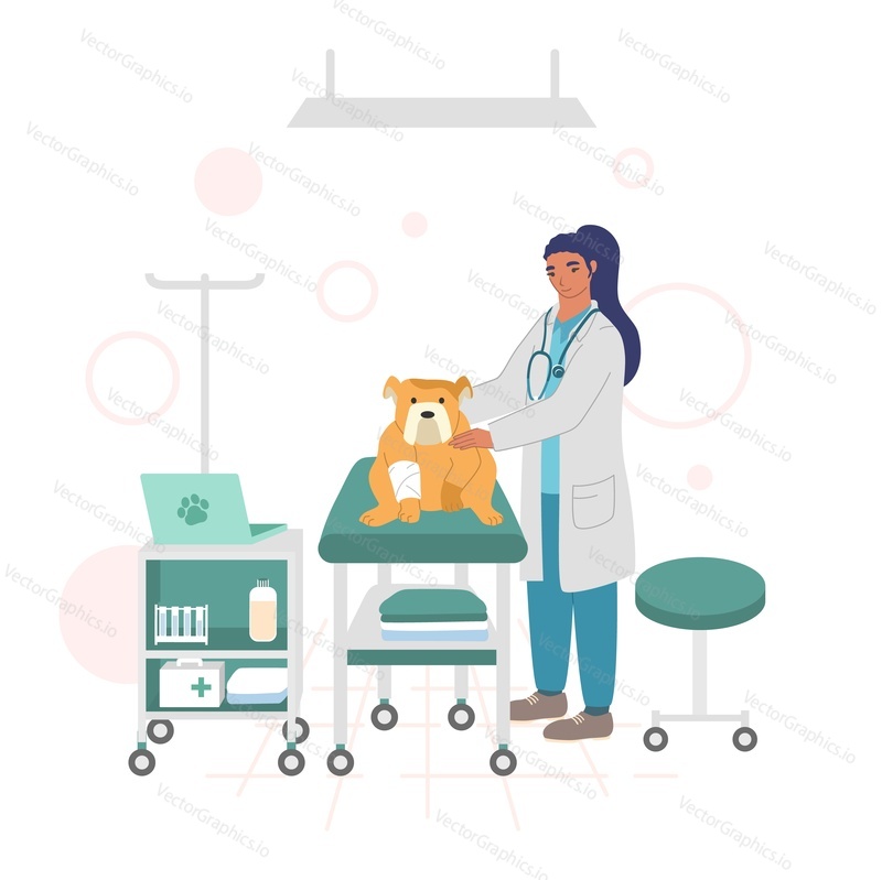 Doctor vet female character examining cute puppy with wounded bandaged paw, vector flat illustration. Vet clinic interior. Veterinary medicine and pet care concept.