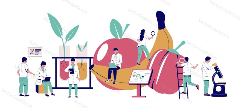 Food additives research, vector flat illustration. Scientists working in biotechnology lab. Food additives study. Genetic engineering. Genetically modified foods, gene technology.