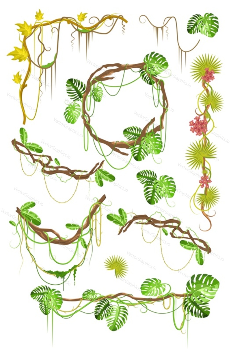 Набор декоративных элементов тропической лианы, плоская векторная иллюстрация, изолированная на белом фоне. Свисающие ветви виноградной лозы джунглей, вьющиеся зеленые растения, каркас монстеры.