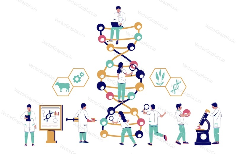 Dna research, vector flat illustration. Scientists studying genes in biotechnology science lab. Dna study, testing. Genetic engineering, genetic modification technology.