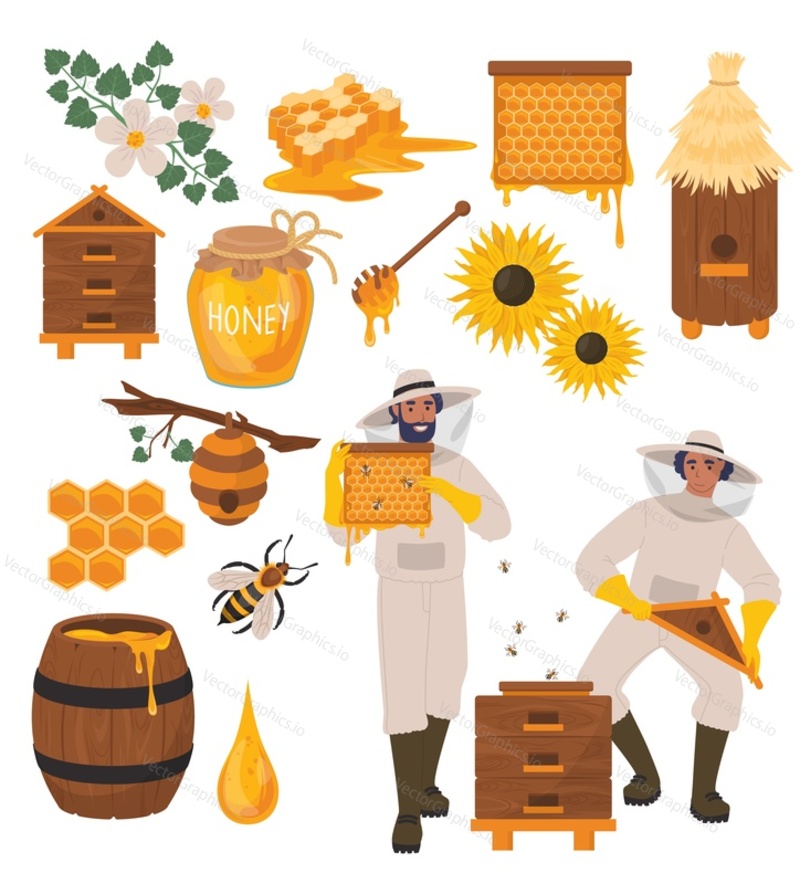 Beekeeping set, flat vector illustration. Beekeeper cartoon characters, beehive, bee, honeycombs, honey jar, dipper, barrel flowers. Healthy sweet syrup. Beekeeping farm. Honey bee farming business.