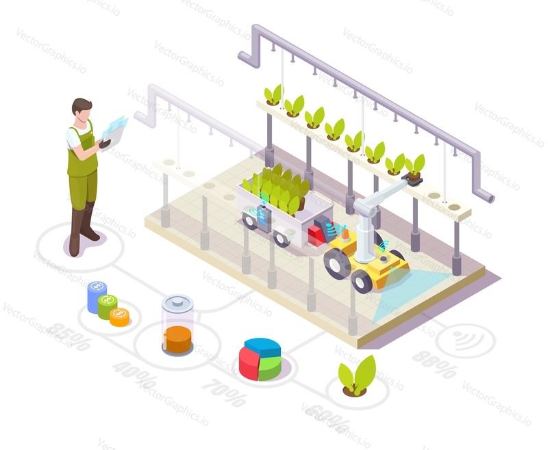 Robot working in greenhouse, flat vector isometric illustration. Automated glasshouse with robotic arm. Smart greenhouse horticulture robotics. Smart farming industry.