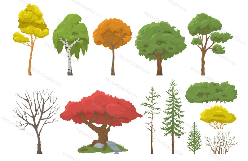 Набор деревьев и кустарников, плоская векторная изолированная иллюстрация. Лесные, садовые деревья, кустарники, покрытые зелеными, желтыми, красными листьями и лишенные их листвы.
