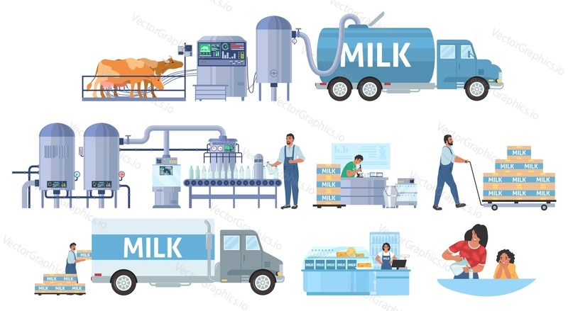 Milk production infographic, flat vector illustration. Cattle farming. Dairy factory milk processing and packaging line. Distribution, sale, consumption. Food industry.