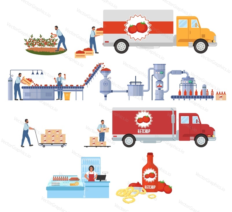 Tomato ketchup production infographic, flat vector illustration. Harvesting and transport. Tomato sauce processing and manufacturing plant equipment. Distribution, sale, consumption. Food industry.