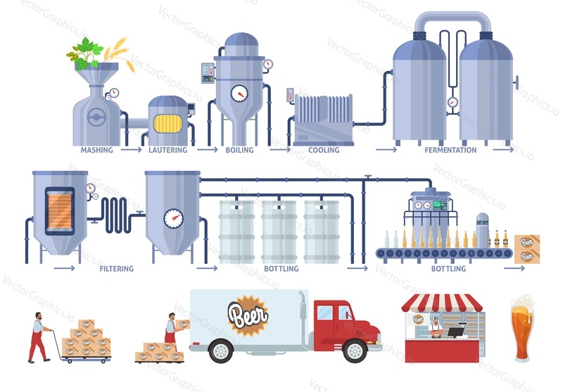 Beer production process infographic, flat vector illustration. Brewery beer production line, bottling and packaging. Distribution, sale, consumption. Brewing industry.
