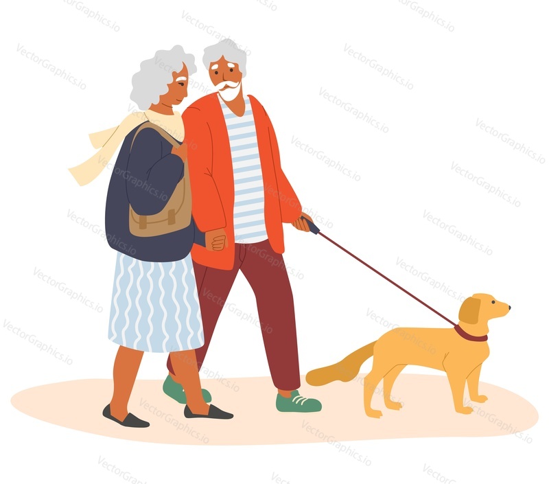 Happy elderly couple walking with pet dog, flat vector illustration. Senior people active lifestyle, outdoor leisure activity.