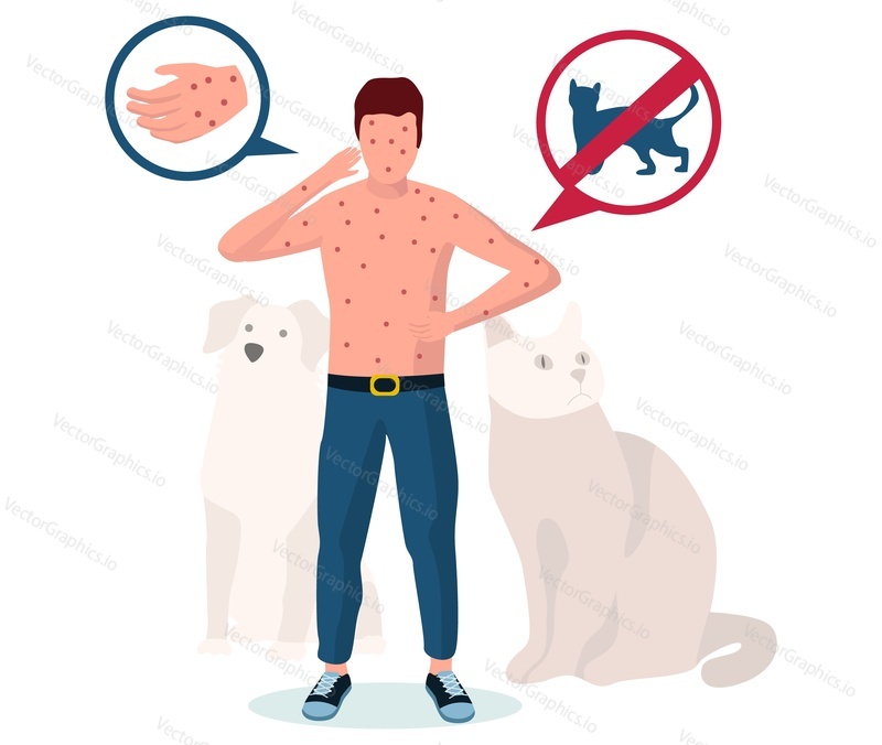 Animal allergy. Man suffering from rash, hives, eczema, itchy skin, flat vector illustration. Allergic dermatitis. Pet allergy symptoms and treatment.