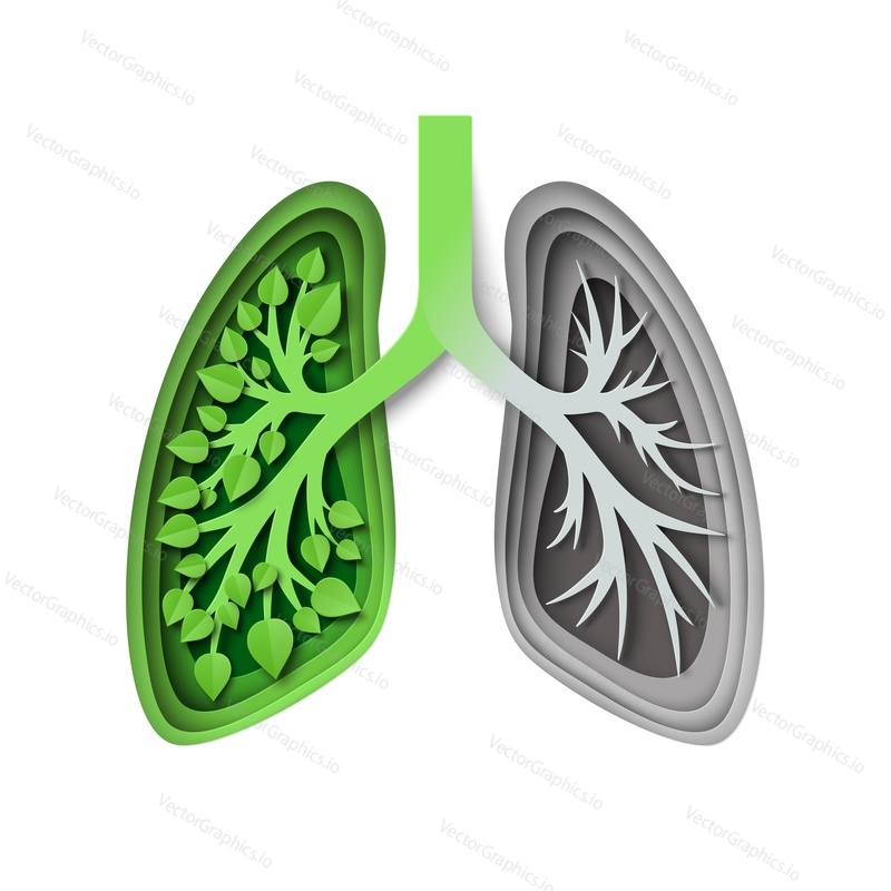 Nature lungs with leaves and without, vector illustration in paper art style. Save nature, environment. Ecology concept.