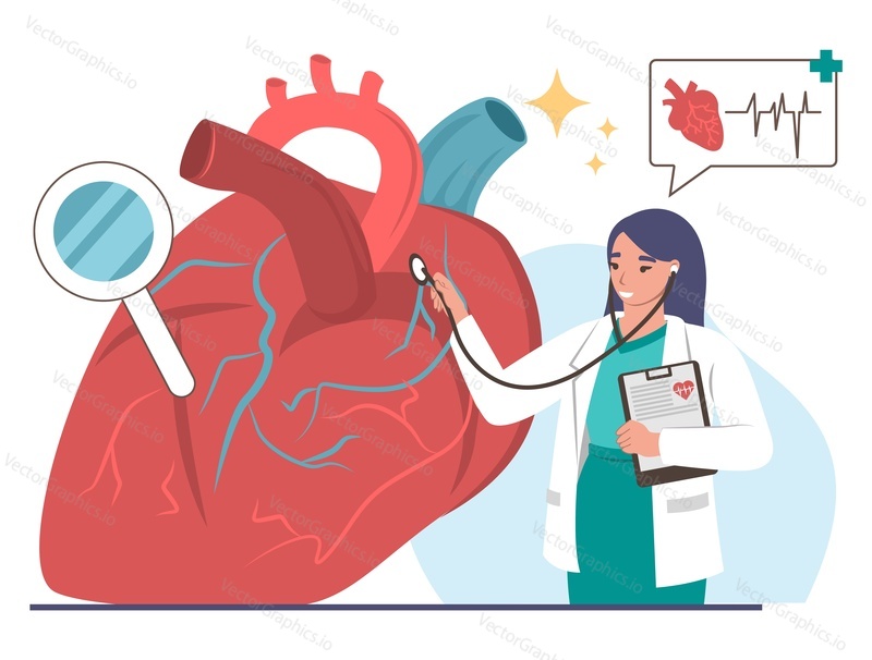 Female doctor cardiologist examining human heart with stethoscope, flat vector illustration. Cardiology, heart diseases, medicine and health care.