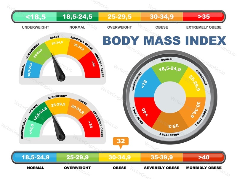 BMI chart, scale, flat vector illustration. Body mass index meter, weight control measurement tool.