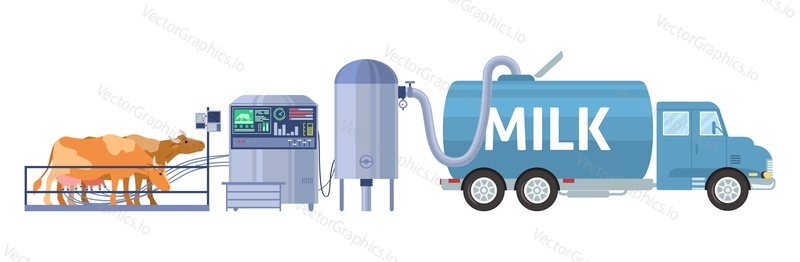 Dairy farm cow milking equipment, tanker truck transporting fresh raw milk to local dairy factory or plant, flat vector illustration. Milk production.